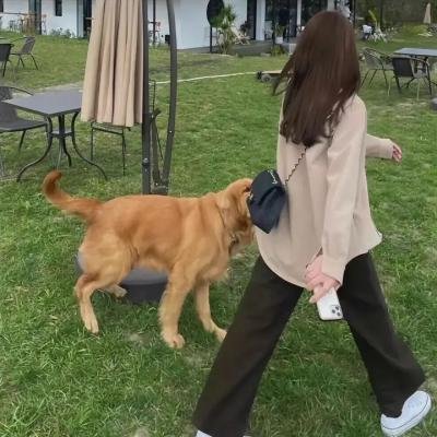 野狐少年