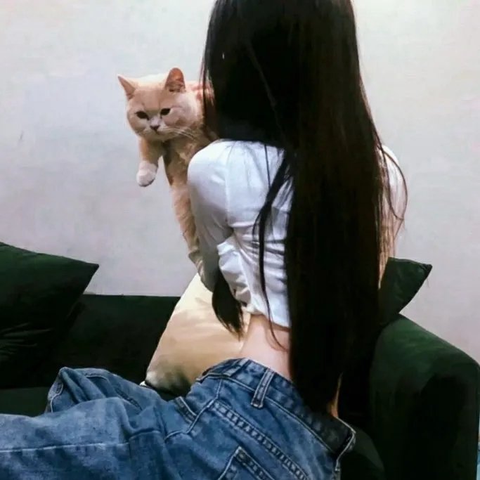 哈兰·科本的庇护所