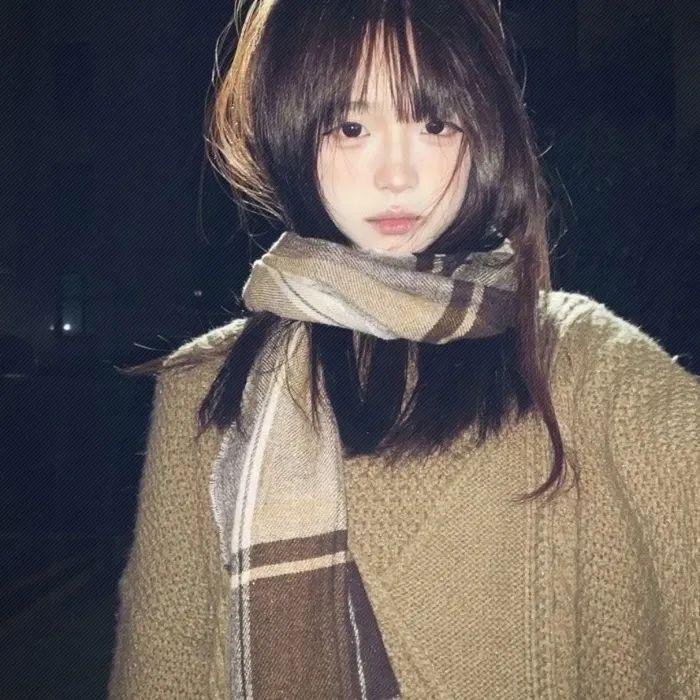 爱出猫